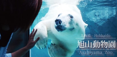 旭川市－旭山動物園