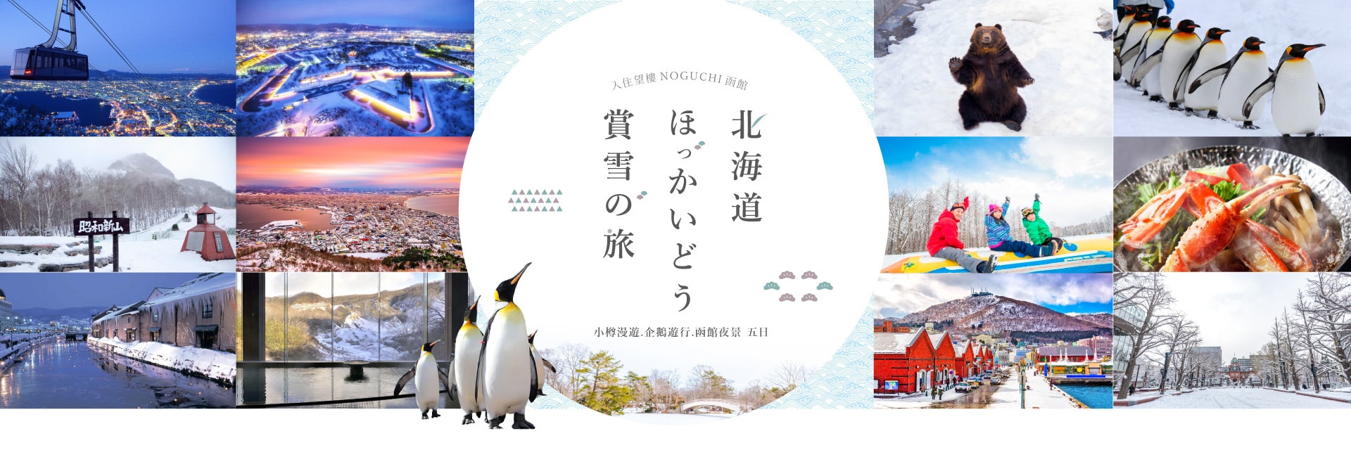 北海道賞雪