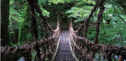 德島縣三好市西祖谷山村－藤蔓橋