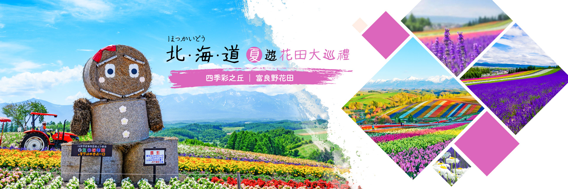 北海道花田