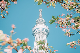 威尼斯這麼美！何嘗不住一晚？